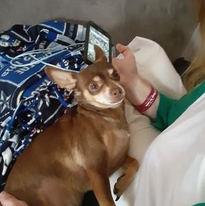 Meet your Posher, Angelina